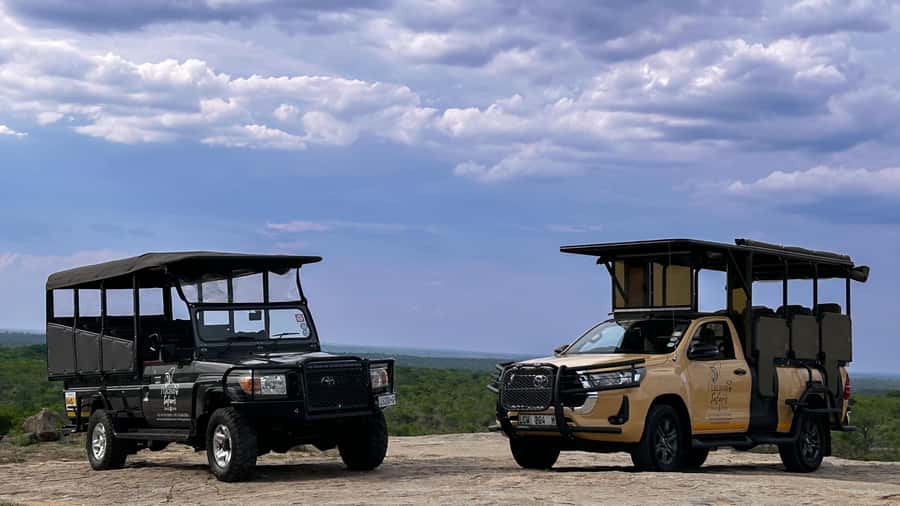 Malelane & Komatipoort: Kruger National Park Half-Day Safari - An early start into Kruger National Park