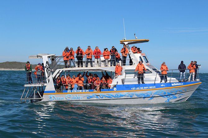 Marine Big 5 Full Day Guided Return Transfer Cape Town - Gansbaai - Who should book this Cape Town day trip