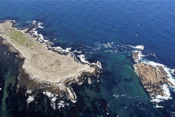Marine Big 5 Safari with transport from Cape Town - Dyer Island and the search for five marine species