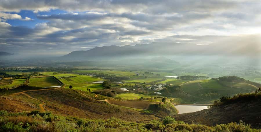 Marine Eco Cruise and Half-Day Wine Route with Tastings - Entering Stellenbosch through Dorp Street and De Braak
