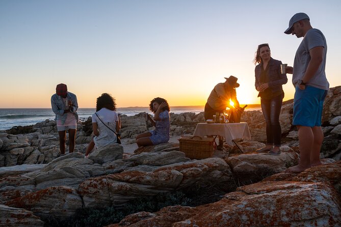 Marine Eco Safari - Watching for whales and the bottlenose dolphins
