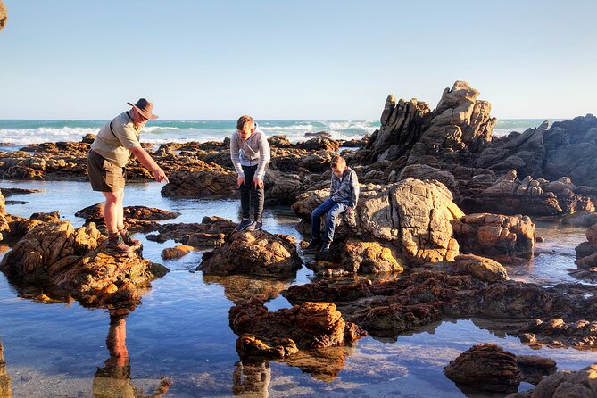 Marine Eco Safari - The lighthouse and the story behind the shore