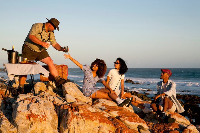 Marine Eco Safari - A sunset finish, with one practical warning