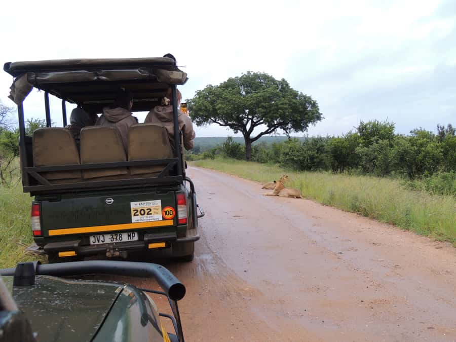 Marloth Park: Kruger National Park Safari Game Drives - Breakfast after about three hours