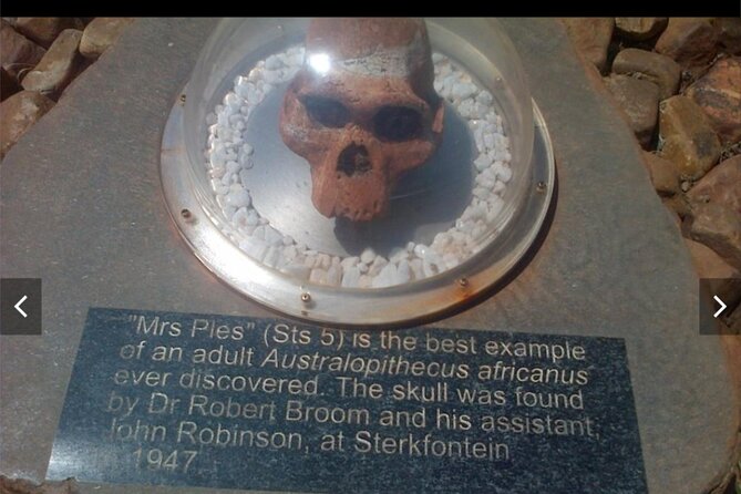 Maropeng Cradle of Humankind Museum &Sterkfontein Cave Experience - Is $103.52 good value?