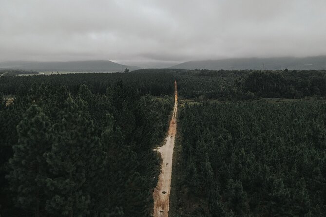 Most Exciting Adventurous Activities and the Only Quadbike Tours in Tsitsikamma - How this compares with a simple forest walk