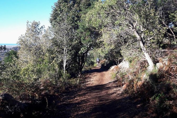 Mountain Biking Table Mountain to Constantia Morning Ride - What the bikes and guiding add