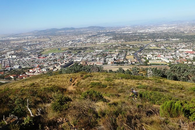 Mountain Biking Table Mountain to Constantia Morning Ride - Price, timing, and overall value