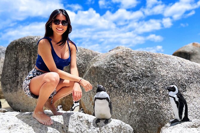 MUST DO: Boulders Beach & Cape Point Full Day Tour #1 Rated - Why this Cape Peninsula route works so well