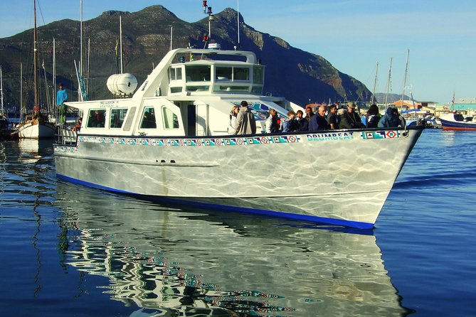 MUST DO: Boulders Beach & Cape Point Full Day Tour #1 Rated - Food, transport, and the real cost
