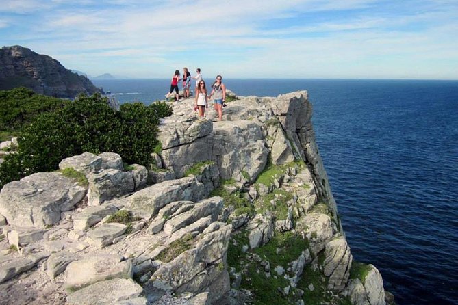MUST DO: Boulders Beach & Cape Point Full Day Tour #1 Rated - Boulders Beach and the African penguins