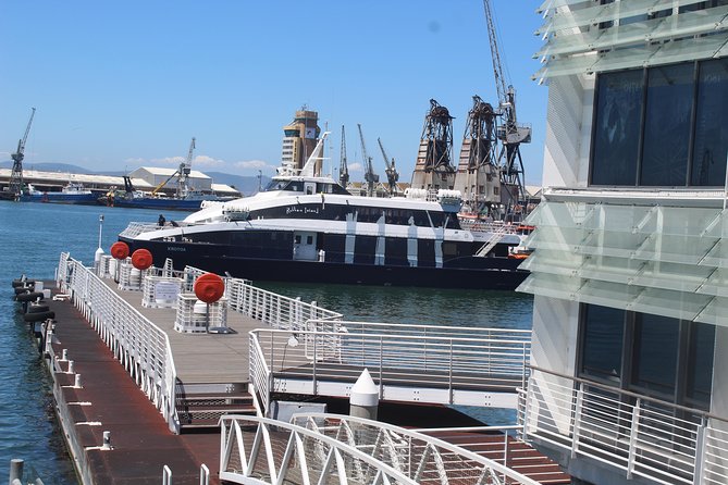 Nelson Mandela's Robben Island Prison Museum Cape Town City Tour + Ferry Tickets - District Six Museum and forced removals