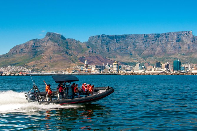 Ocean Safari - Key points to know before booking