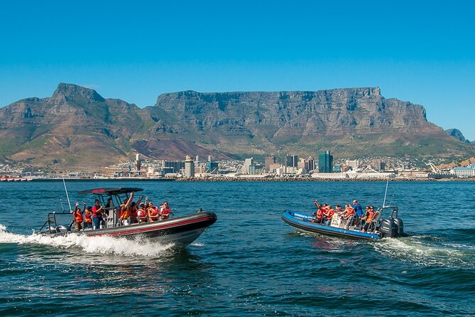Ocean Safari - The ride can be rough, so take the warning seriously