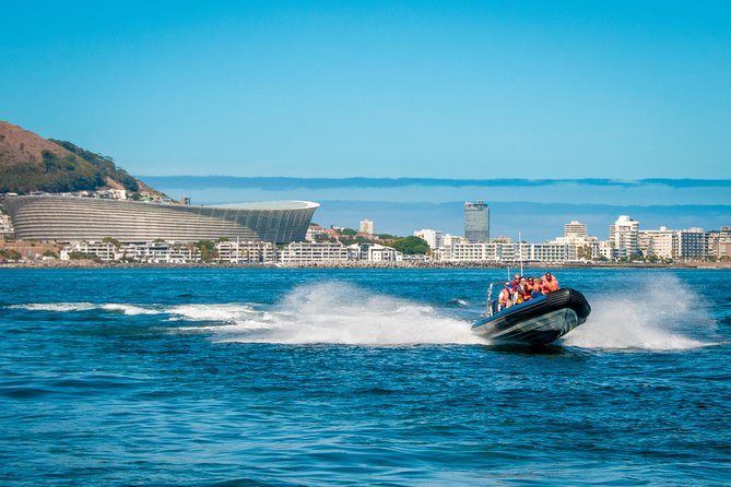 Ocean Safari - How this compares with a standard sightseeing cruise