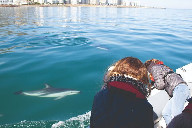 Ocean Wildlife Encounter in Cape Town - A wildlife trip with no fixed script