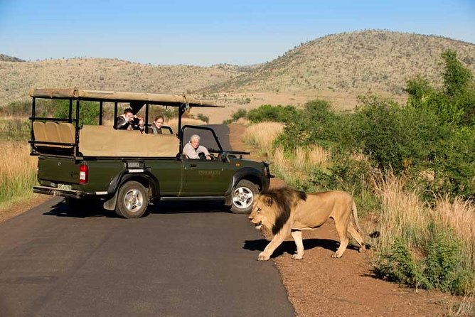 One day Safari including a 5 Hour Open Safari Vehicle Drive - The Afternoon Return Toward the Gate