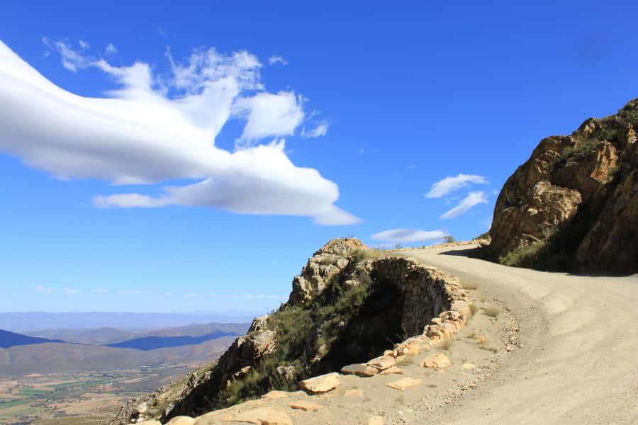 Oudtshoorn: Half-Day Swartberg Pass Private Guided Tour - Looking for proteas and mountain fynbos