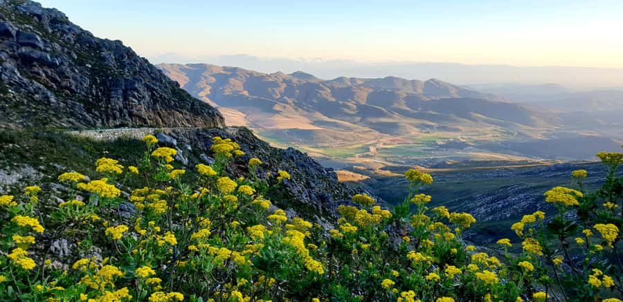 Oudtshoorn: Half-Day Swartberg Pass Private Guided Tour - From Oudtshoorn to the southern foothills