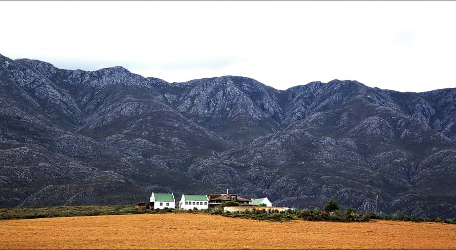 Oudtshoorn: Swartberg Mountain Pass Tour with Country Lunch - Key points to know before booking
