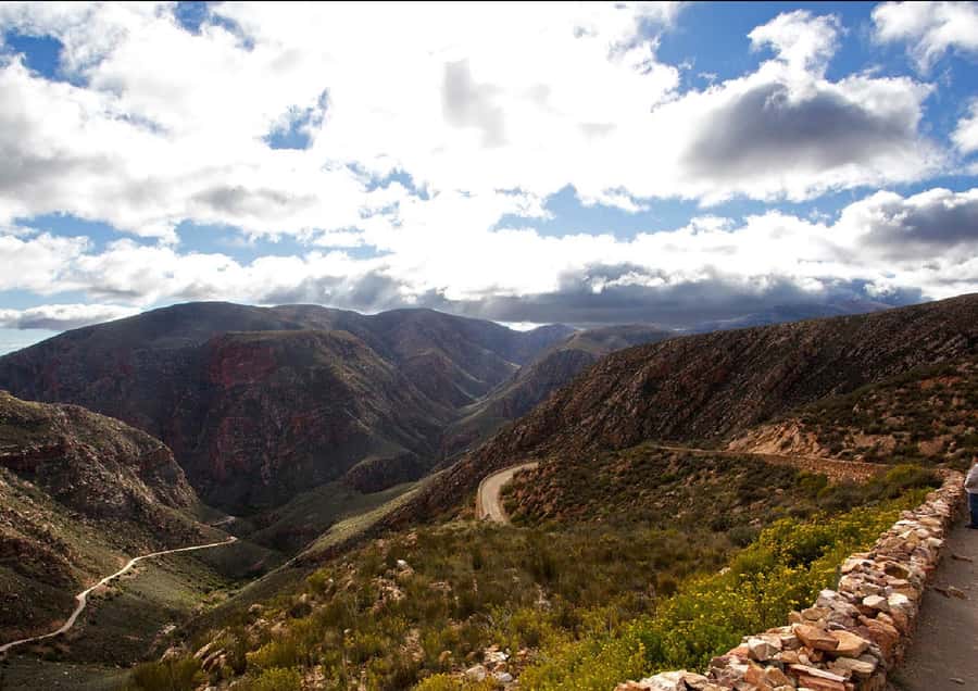 Oudtshoorn: Swartberg Mountain Pass Tour with Country Lunch - The 30-minute walk among Karoo plants