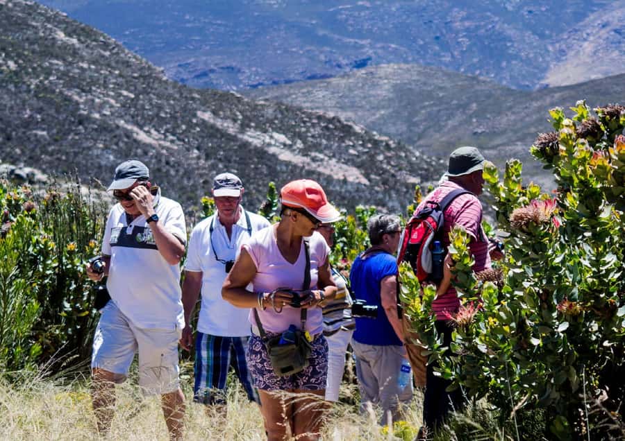 Oudtshoorn: Swartberg Mountain Pass Tour with Country Lunch - What the three-hour itinerary feels like