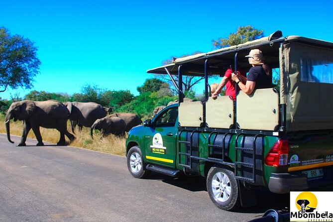 Overnight Kruger National Park Classic Camping Safari - Why this two-day Kruger plan works