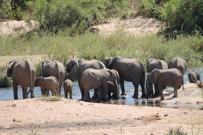 Overnight Kruger National Park Classic Camping Safari - The Big Five are possible, not promised