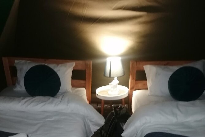 Overnight Kruger National Park Classic Camping Safari - Afternoon and night wildlife drive in Kruger