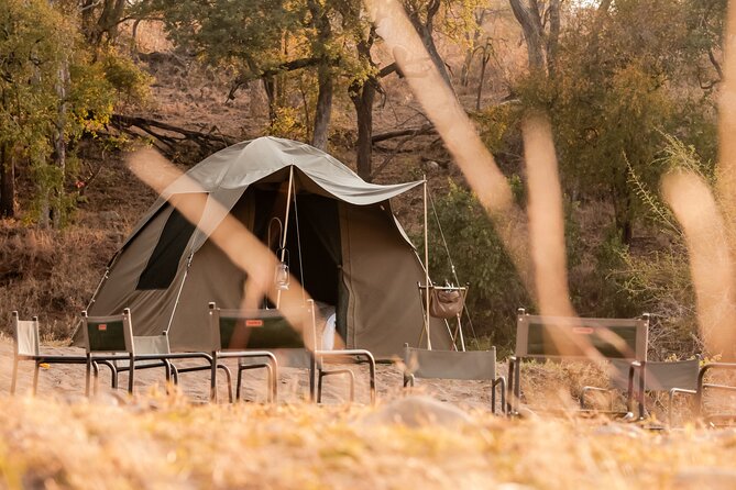 Overnight Trails Camp in Olifants River - Dinner under the African night sky