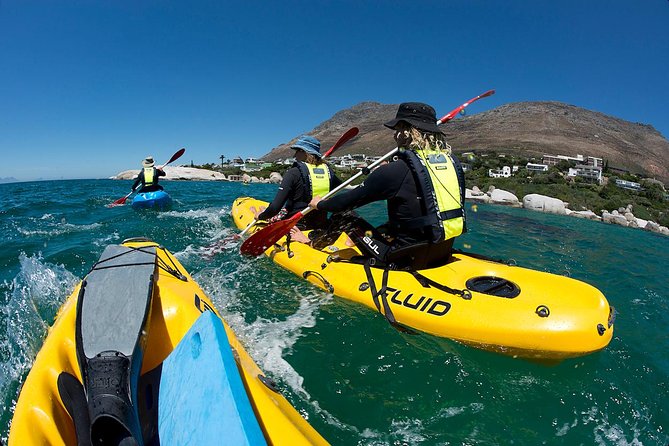 Paddle with the Penguins - Paddling into the Big Blue