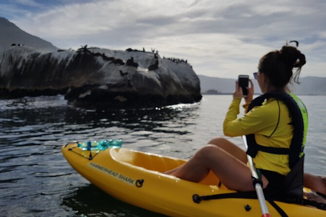 Paddle with the Penguins - What the guide adds to two hours