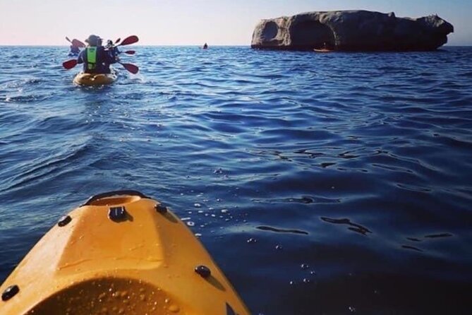 Paddle with the Penguins - What to bring to Seaforth Beach