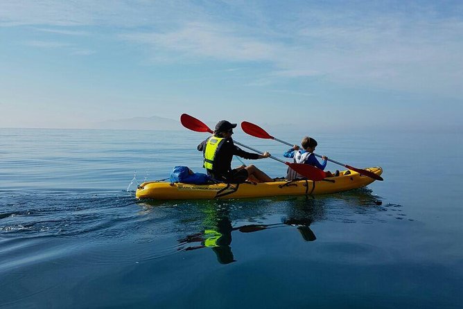 Paddle with the Penguins - Who will enjoy this outing most