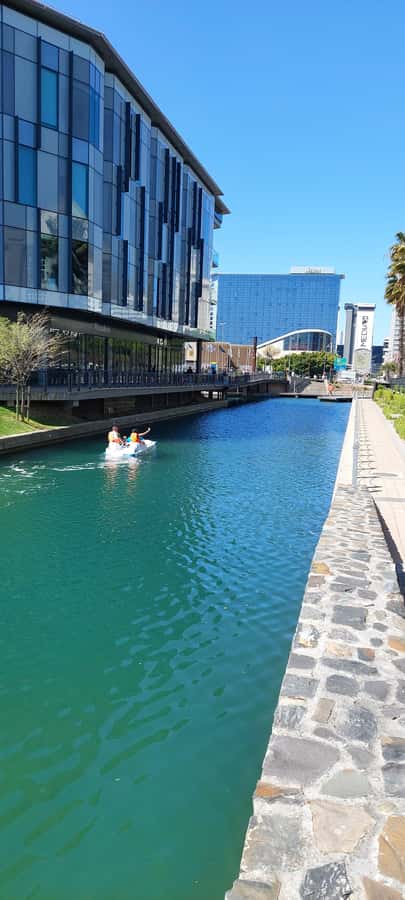 Pedal Boat Ride V&A Waterfront - Cape Town - Choosing your boat and getting comfortable