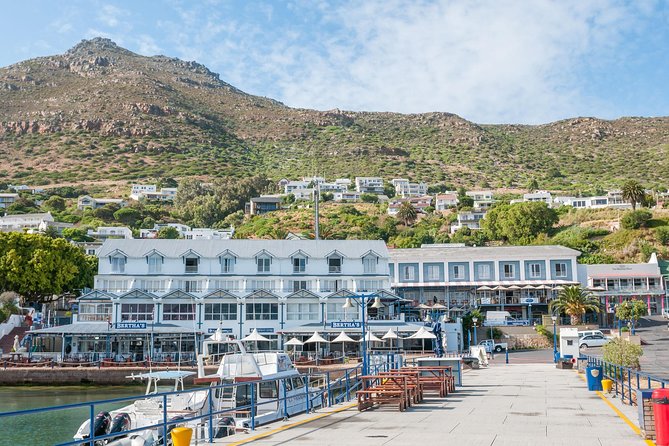 Penguin Encounter Boulders Beach Half Tour Day from Cape Town - Chapman’s Peak Drive is part of the attraction
