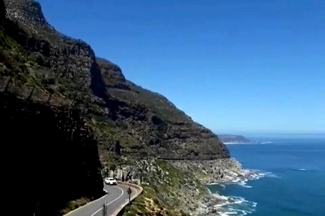 Penguins Cape of Good Hope, Cape Point Private Tour - Camps Bay, Clifton, and Bo-Kaap: a strong finish