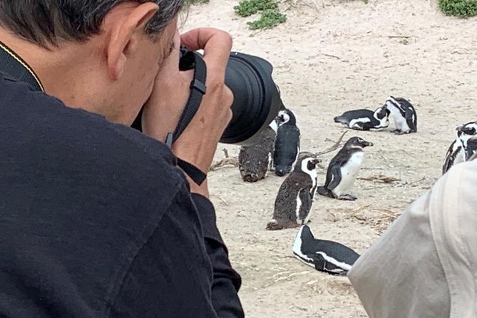 Penguins, Cape Point & Table Mountain. - Cape of Good Hope and Cape Point complete the route