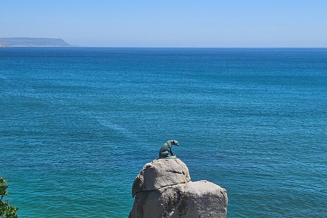 Peninsula Full Day Private Tour - Chapman’s Peak makes the drive part of the experience