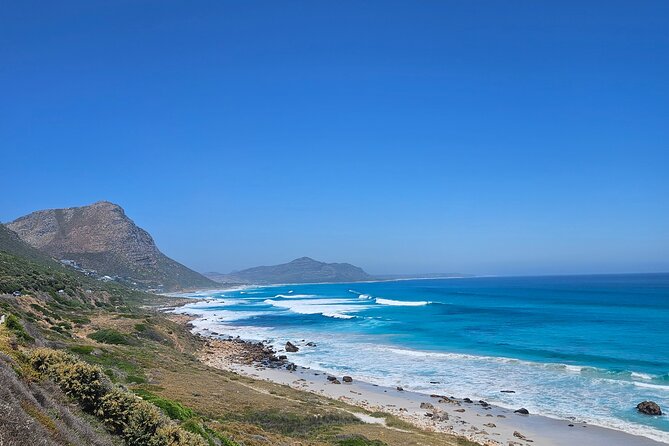 Peninsula Full Day Private Tour - Hout Bay adds a local harbor stop