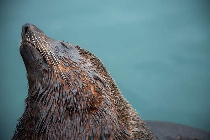 Peninsula Photography Tour - Is $270 per person a fair price?