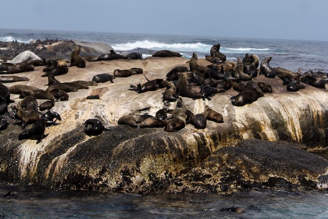 Peninsula Tour Cape Town - Cape Point and the Old Cape Point Lighthouse