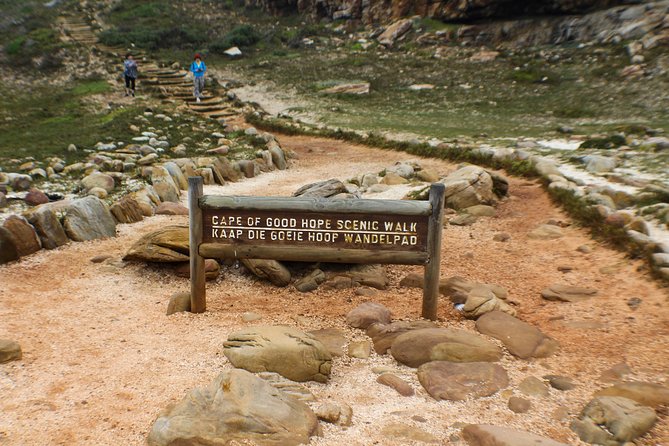 Peninsula Tour Cape Town - Boulders Beach and the African penguins