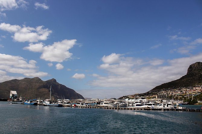 Peninsula Tour Cape Town - Hout Bay: fish, crafts, and a possible seal cruise