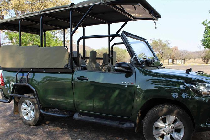 Pilanesberg and Sun City Tour - Why this day combines wildlife and resort fun