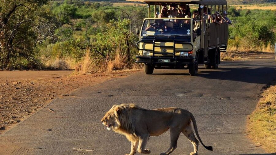 Pilanesberg Full-Day Shared Safari with Sun City Visit - Key points to know before booking