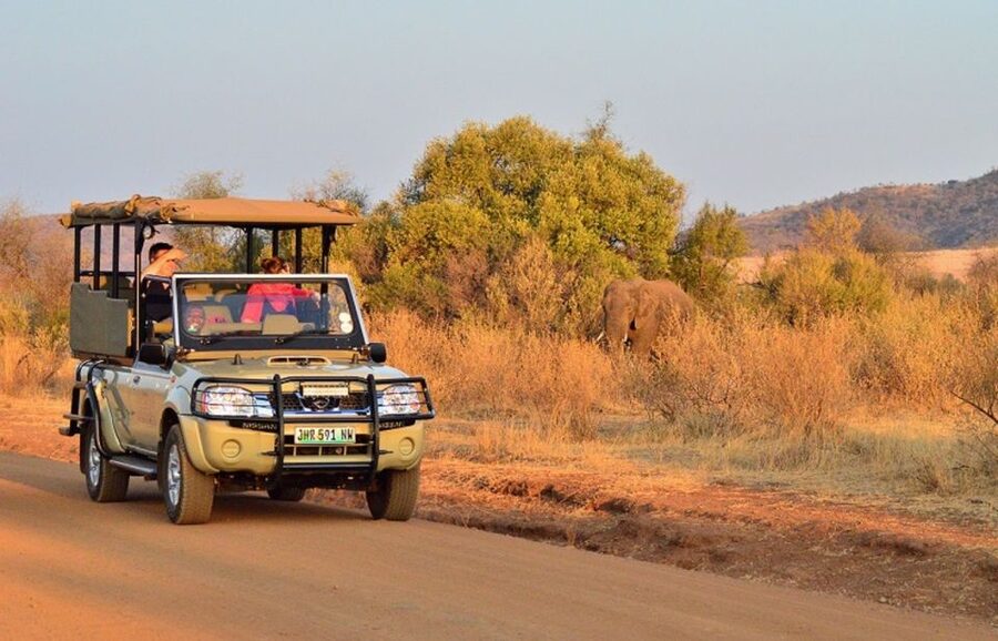 Pilanesberg Full-Day Shared Safari with Sun City Visit - The three-hour open 4x4 drive