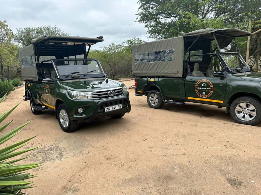 Pilanesberg Morning or Afternoon 3 Hour Game Drive - Three hours among Pilanesberg’s animals