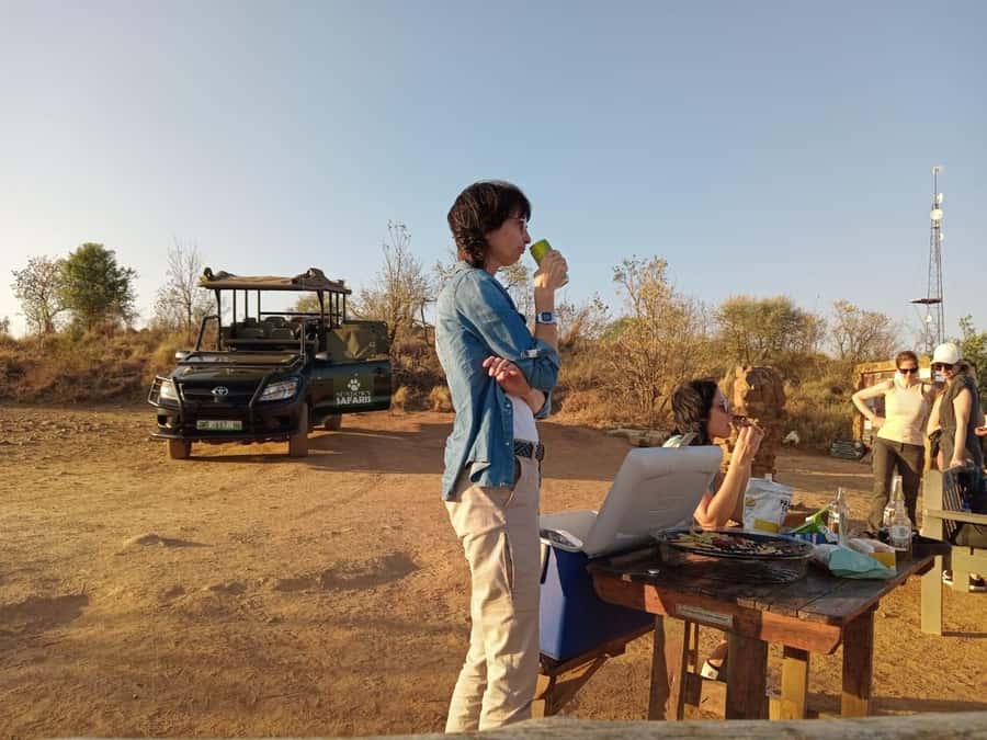 Pilanesberg Morning or Afternoon 3 Hour Game Drive - Morning or afternoon: which departure should you choose?