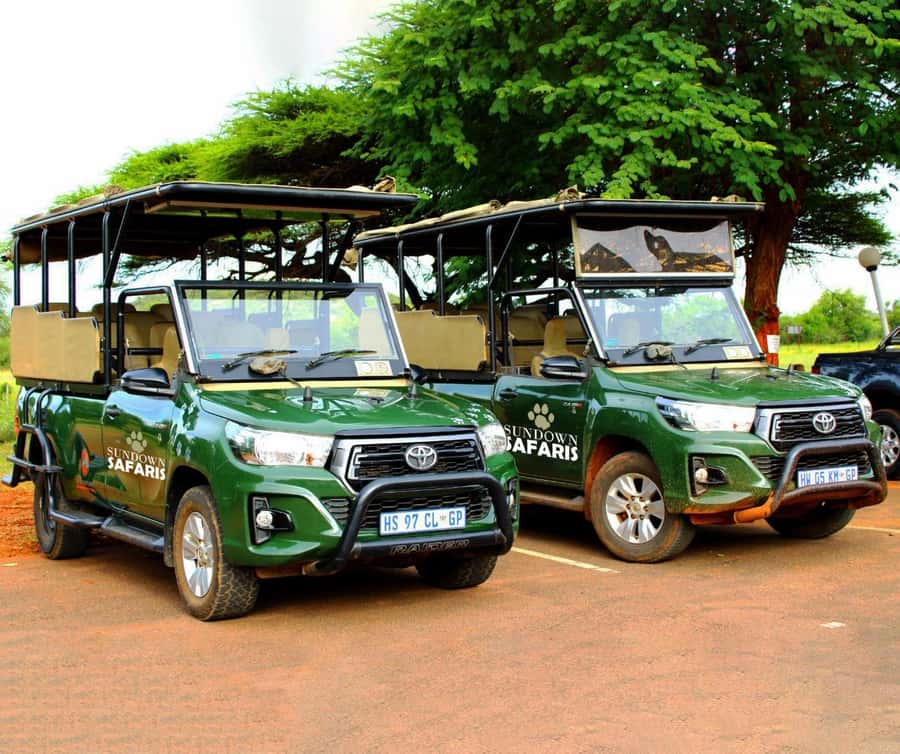 Pilanesberg Morning or Afternoon 3 Hour Game Drive - The real cost at $54 per person